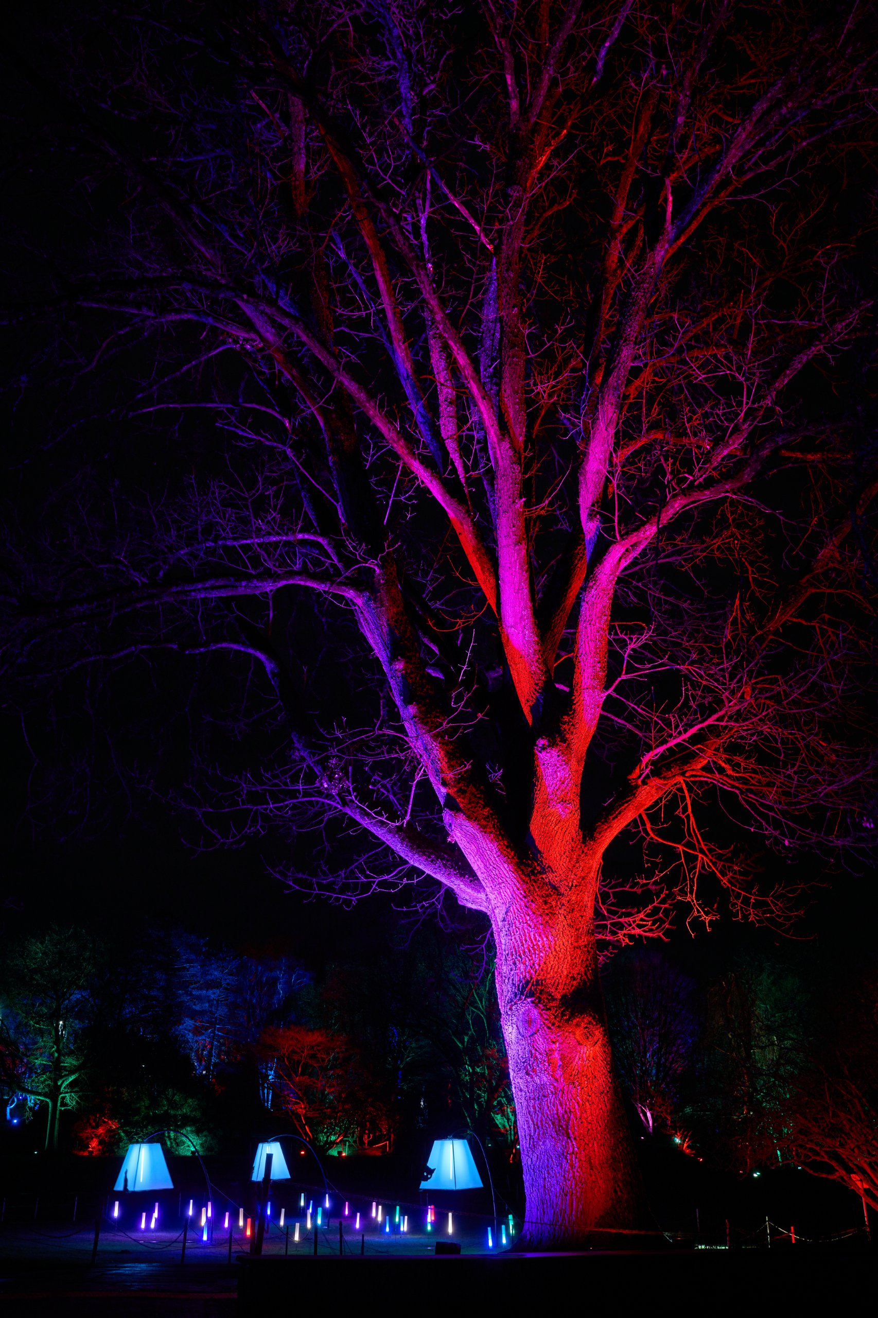 2026 02 03 Parkleuchten 0202